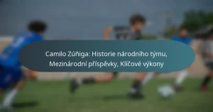 Camilo Zúñiga: Historie národního týmu, Mezinárodní příspěvky, Klíčové výkony