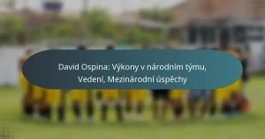 David Ospina: Výkony v národním týmu, Vedení, Mezinárodní úspěchy
