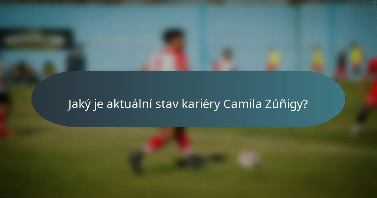 Jaký je aktuální stav kariéry Camila Zúñigy?