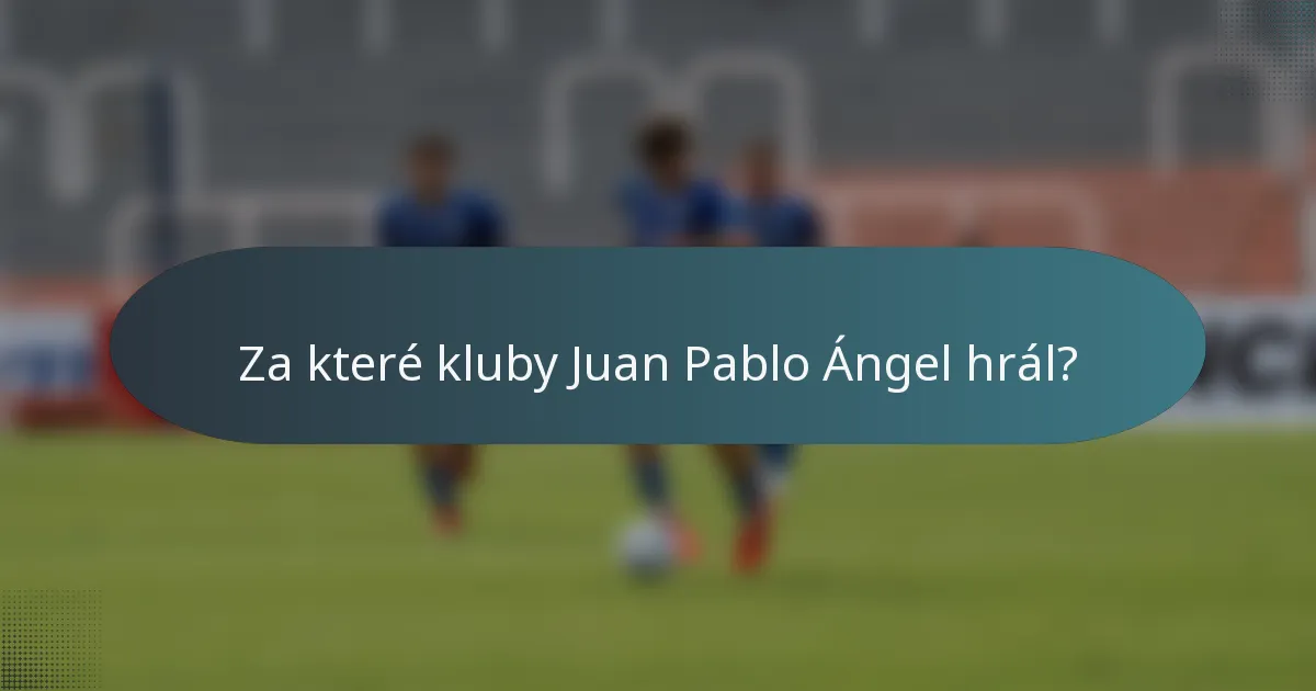 Za které kluby Juan Pablo Ángel hrál?